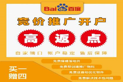 成功案例：百度推广返点的实际效果